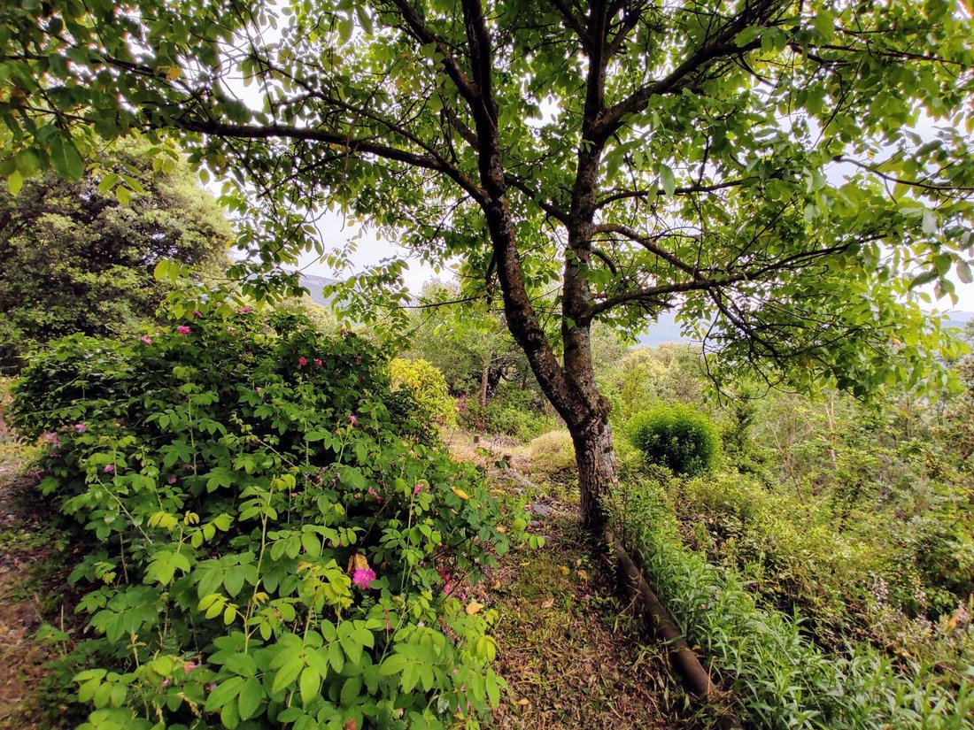 Country House in Broto, Aragon, Spain 4 - 15969963