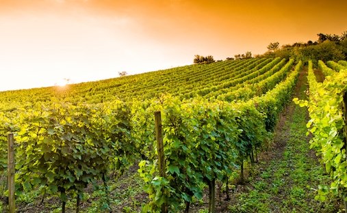 Land in Tregnago, Veneto, Italy 1