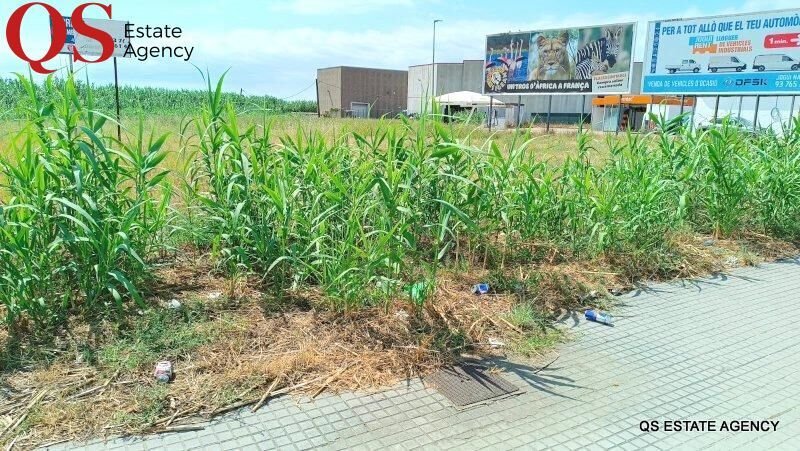 Land in Palafolls, Catalonia, Spain 5 - 15967299