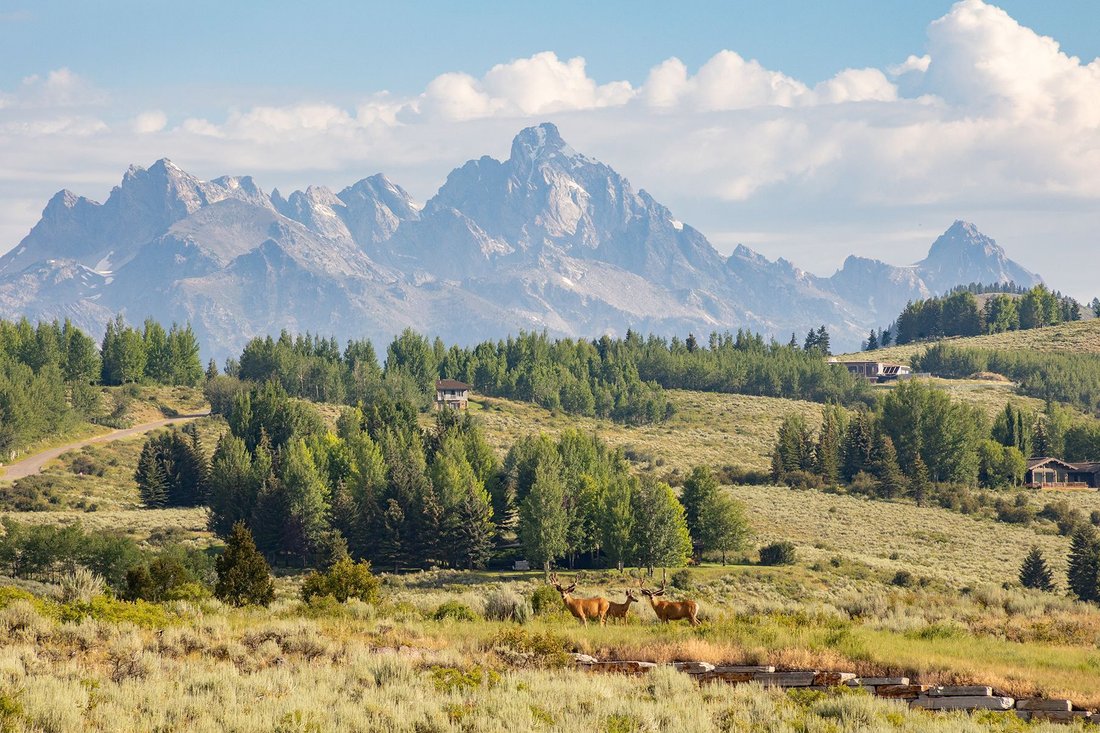 Terreno a Jackson, Wyoming, Stati Uniti 2 - 15968569