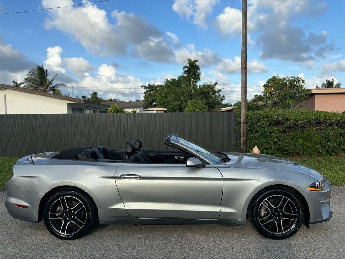 Cabriolet in West Park, FL, United States 3 - 15969638