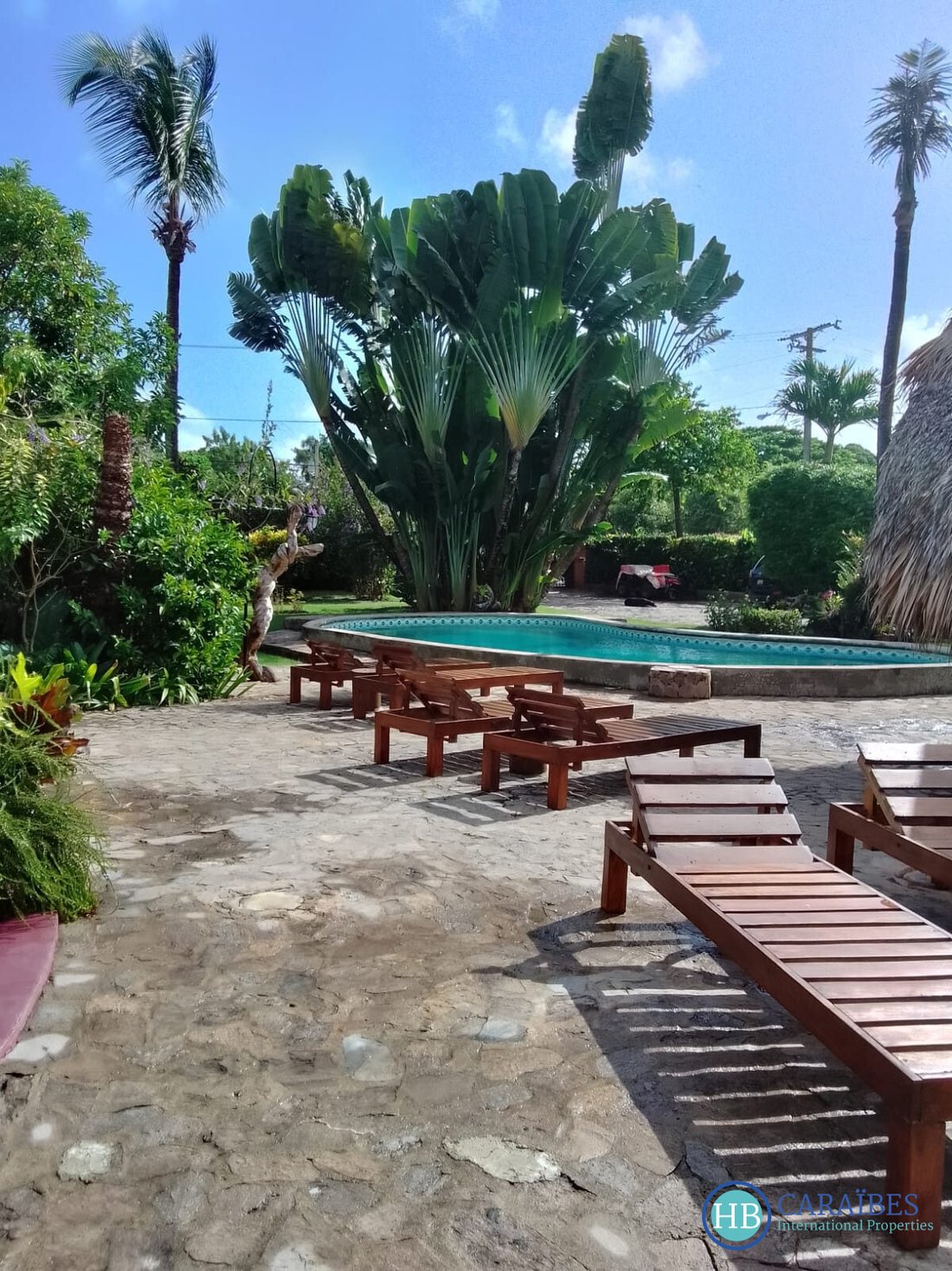 Las Galeras, Samaná Province, Dominican Republic 1 - 15969811