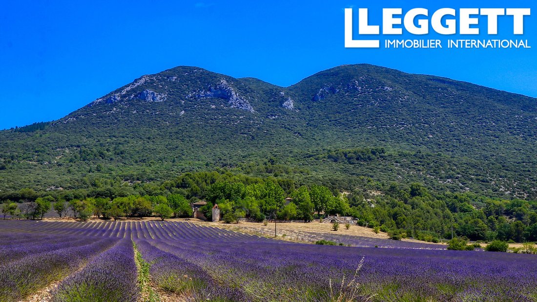 Château des Murmures: A 17th-Century Provençal Reverie in the Luberon’s Embrace