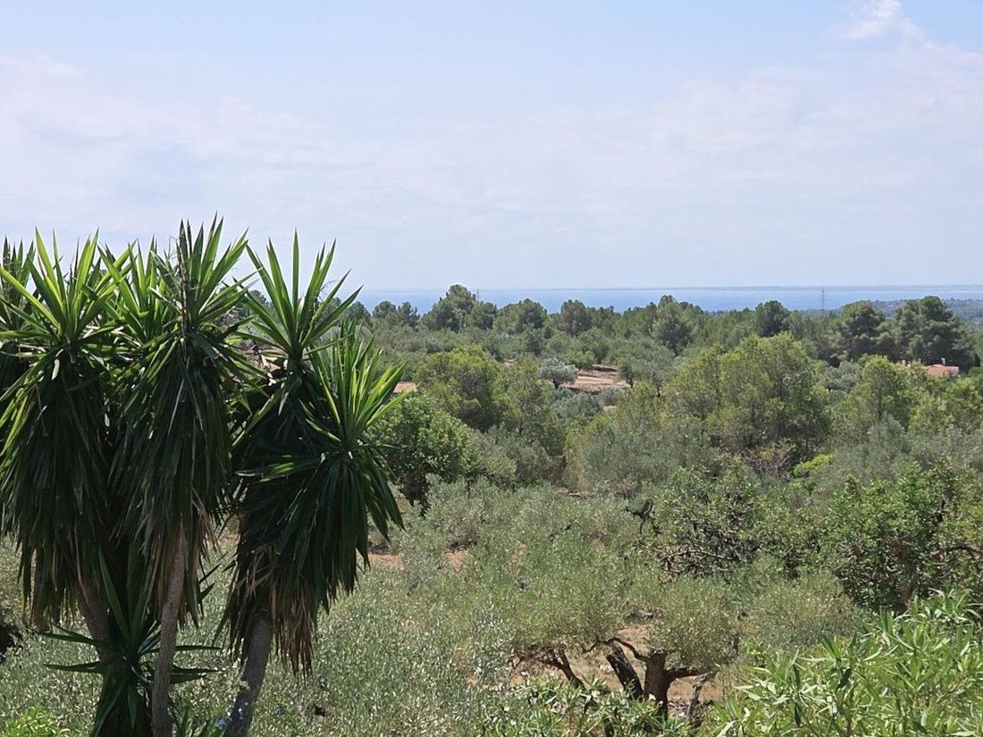Country House in l'Ametlla de Mar, Catalonia, Spain 2 - 15967045