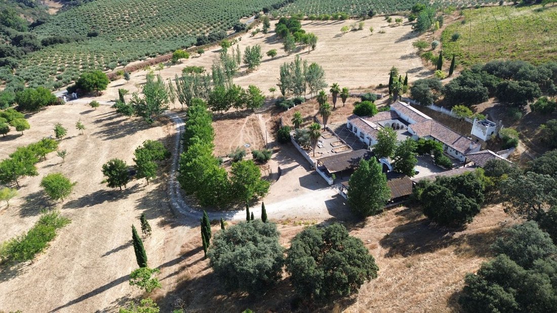 Finca à Setenil de las Bodegas, Andalousie, Espagne 2 - 15969984
