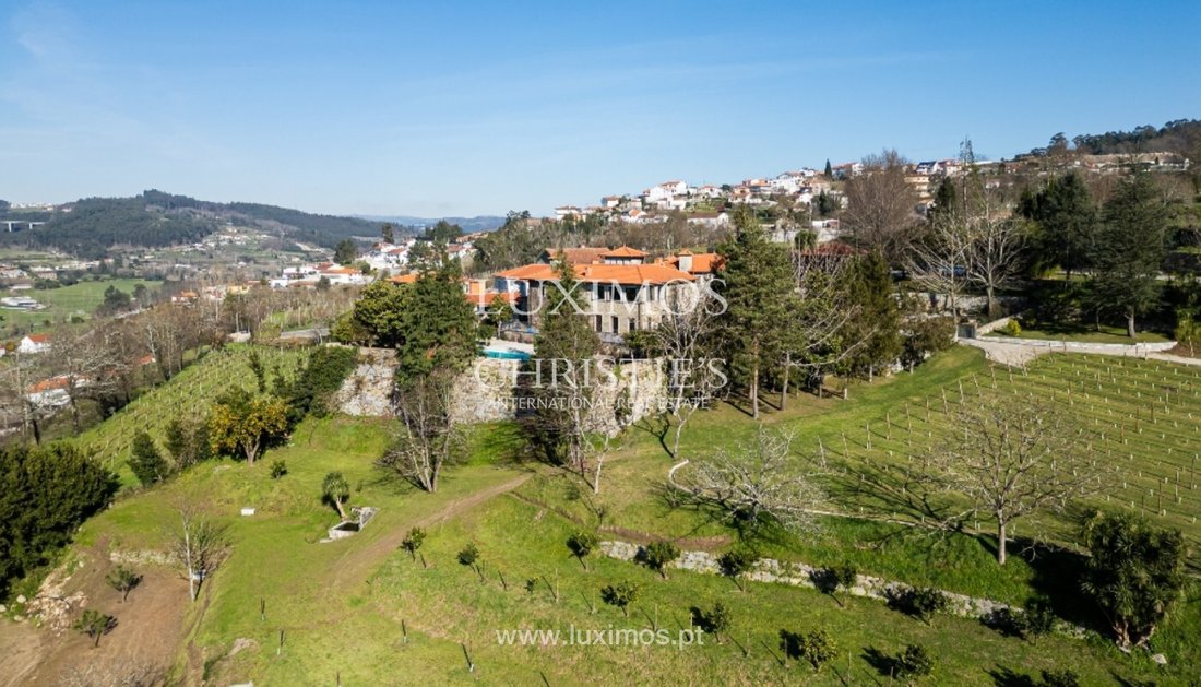 Farm Ranch in Vila Fria e Vizela (Sao Jorge), Porto District, Portugal 1 - 15971233