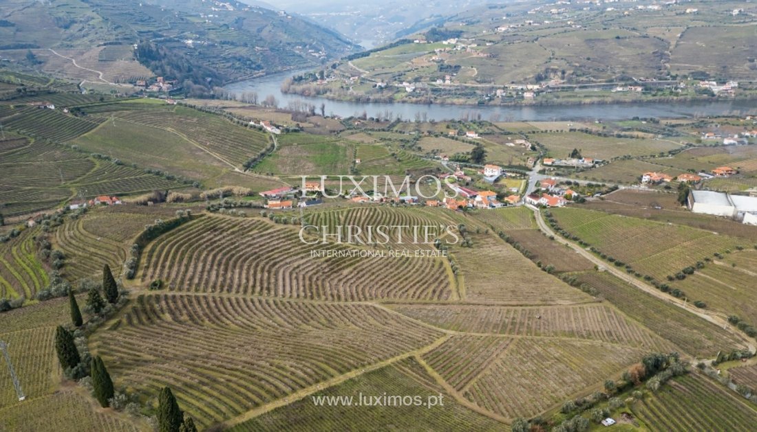 Corps de ferme à Cambres, Viseu, Portugal 2 - 15971239