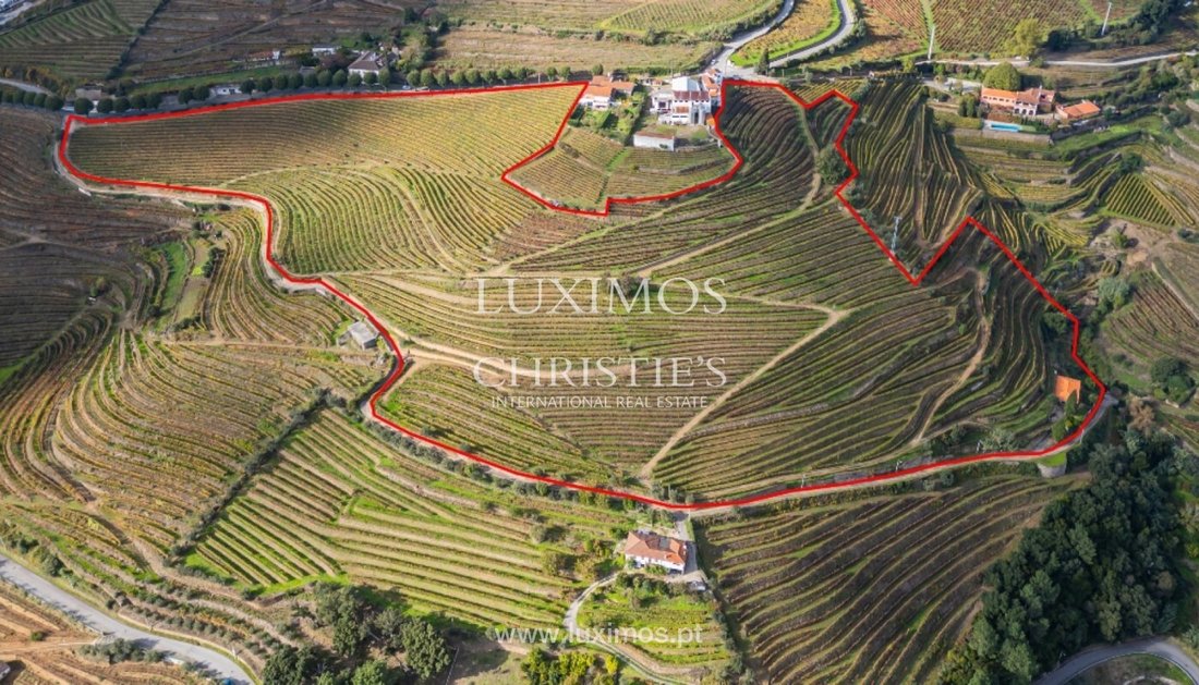 Farm Ranch in Mesao Frio (Santo Andre), Vila Real District, Portugal 2 - 15971144