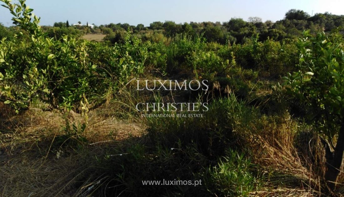 Farm Ranch in Luz de Tavira e Santo Estevao, Algarve, Portugal 1 - 15970772