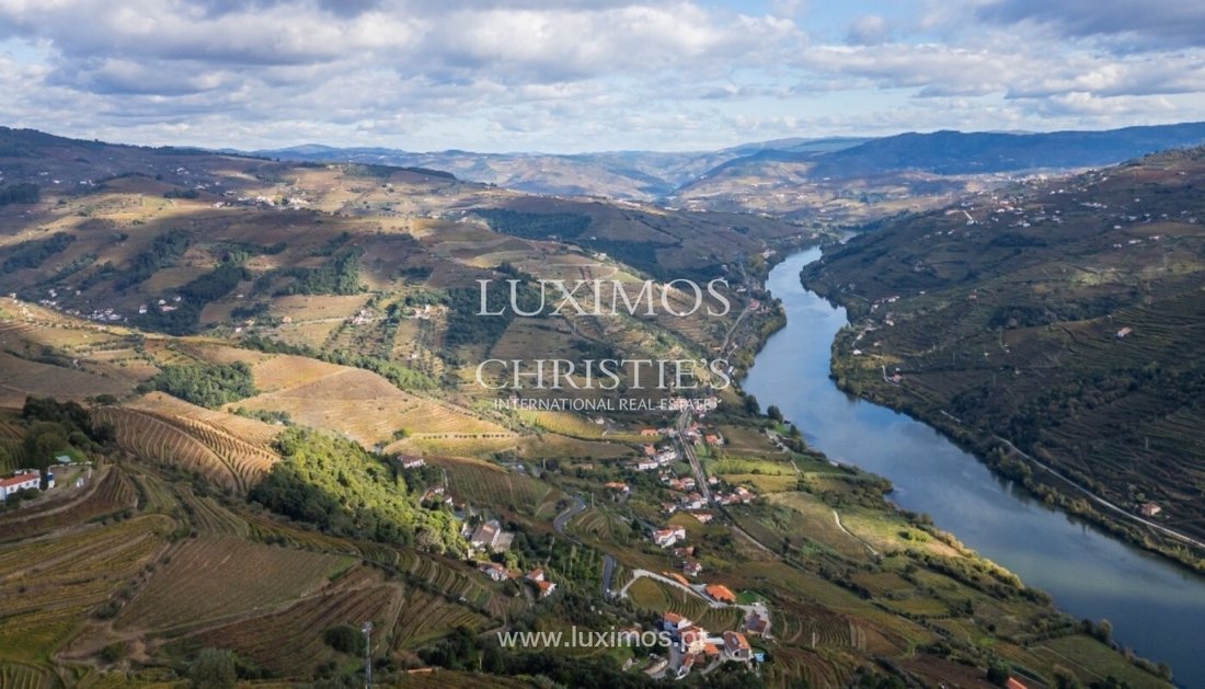Farm Ranch in Mesao Frio (Santo Andre), Vila Real District, Portugal 4 - 15971144