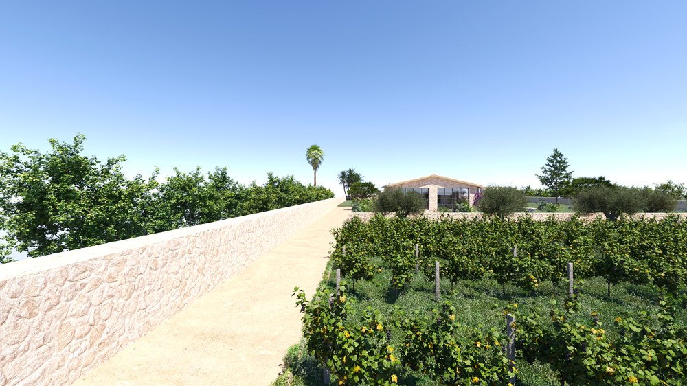 Land in Inca, Balearic Islands, Spain 5 - 15970806