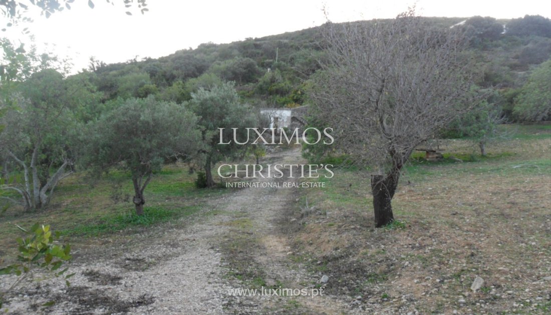 Land in Estoi, Algarve, Portugal 5 - 15971073