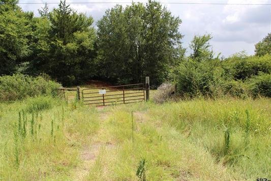 Land in Jacksonville, Texas, United States 4 - 15971699