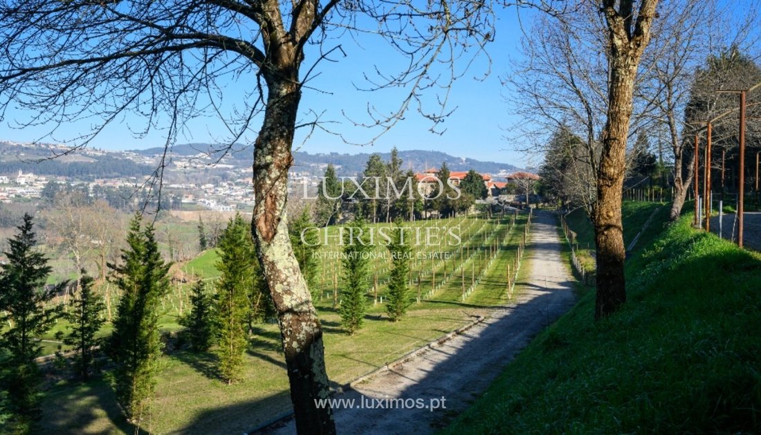 Farm Ranch in Vila Fria e Vizela (Sao Jorge), Porto District, Portugal 4 - 15971233