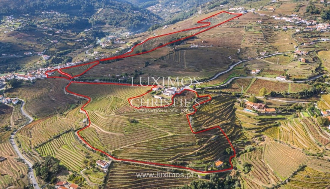 Farm Ranch in Mesao Frio (Santo Andre), Vila Real District, Portugal 3 - 15971144