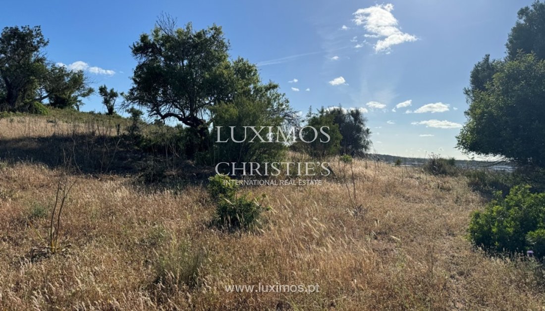 Land in Algoz e Tunes, Algarve, Portugal 1 - 15970886