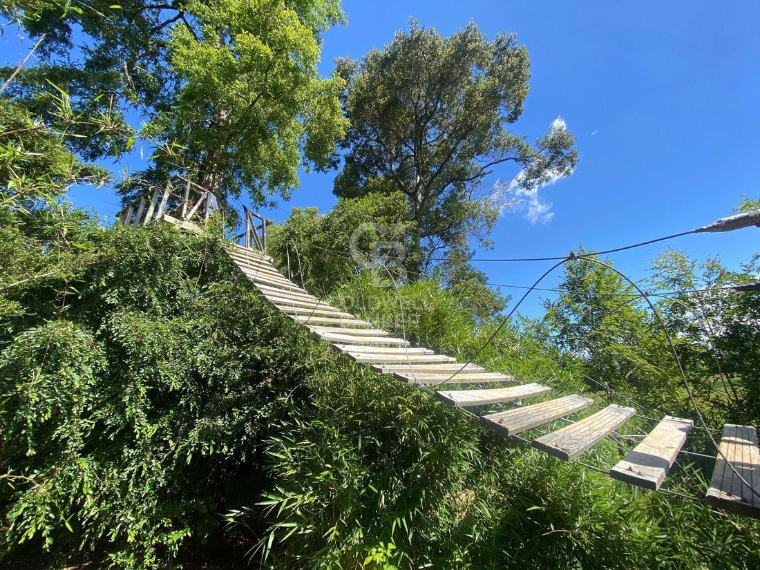 Estate in Puerto Octay, Los Lagos, Chile 5 - 15971673