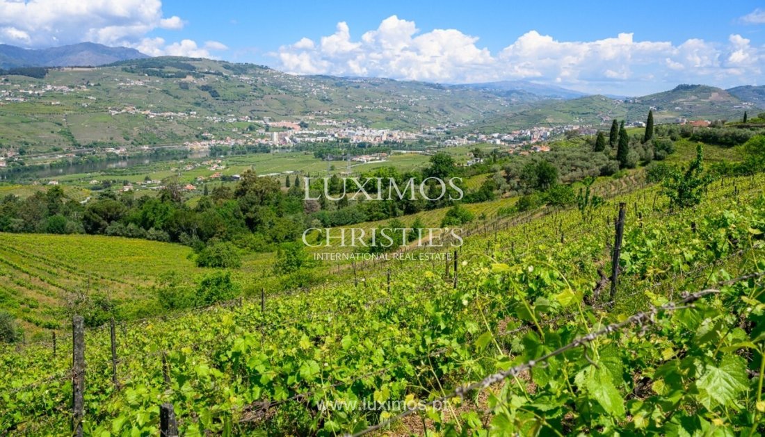 Farm Ranch in Cambres, Viseu District, Portugal 4 - 15971305