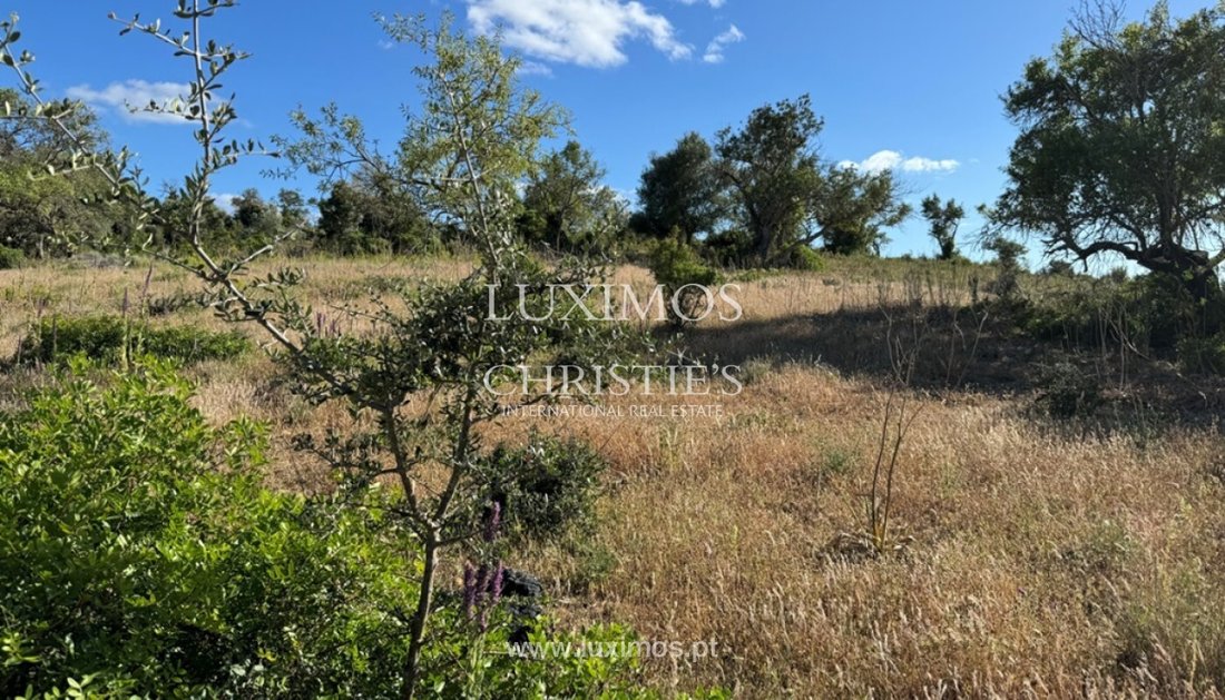 Land in Algoz e Tunes, Algarve, Portugal 4 - 15970886
