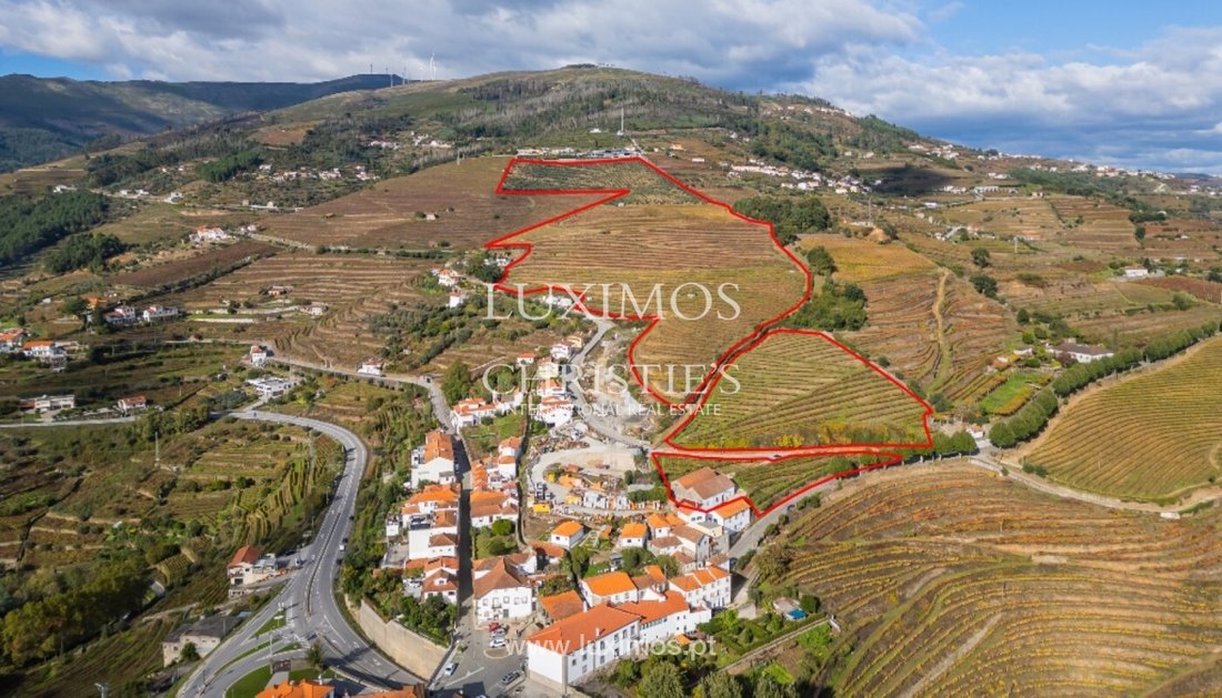 Farm Ranch in Mesao Frio (Santo Andre), Vila Real District, Portugal 1 - 15971144