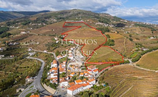 Azienda agricola a Mesao Frio (Santo Andre), Distretto di Vila Real, Portogallo 1
