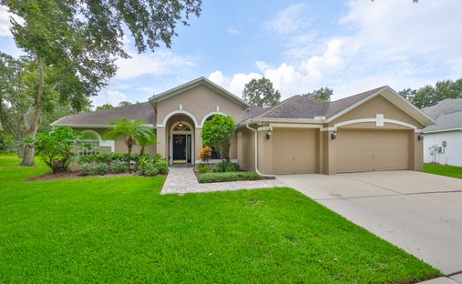 House in Tampa, Florida, United States 1