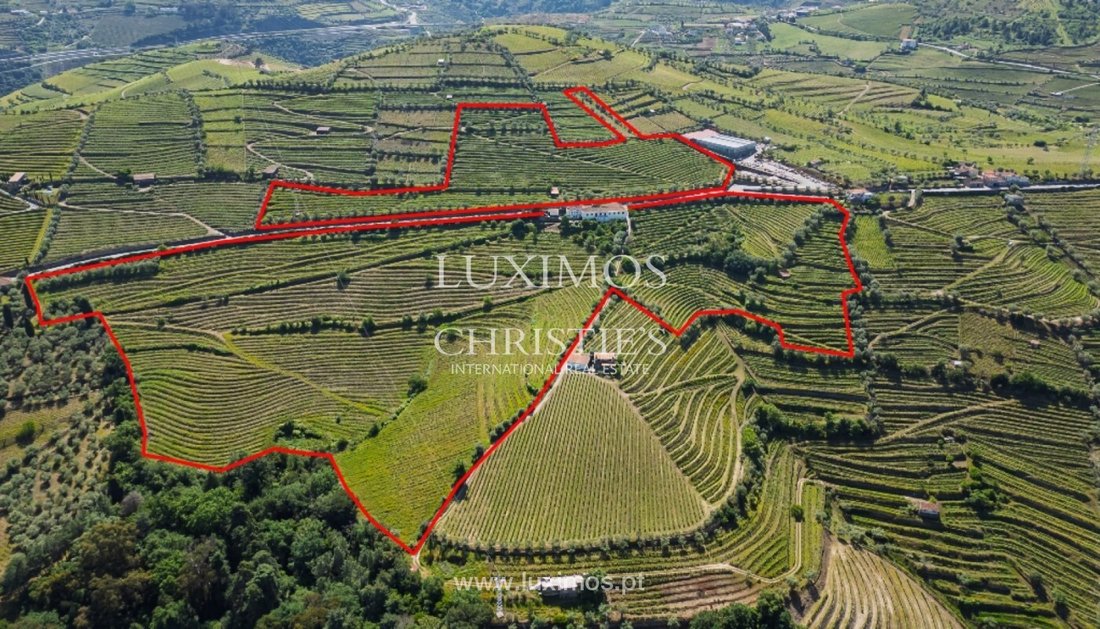 Farm Ranch in Cambres, Viseu District, Portugal 1 - 15971305
