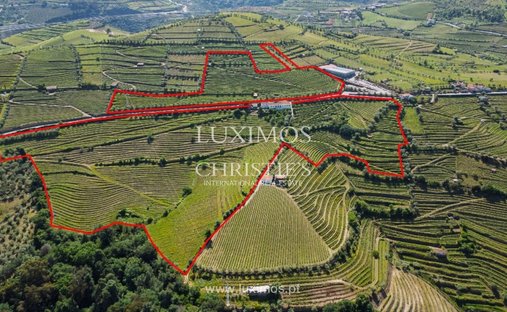 Farm Ranch in Cambres, Viseu District, Portugal 1