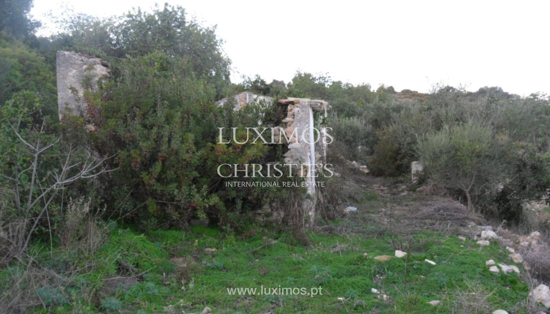 Land in Estoi, Algarve, Portugal 3 - 15971073