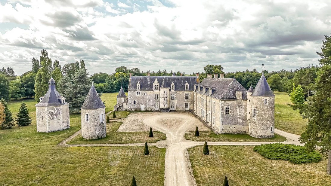 Château à Gare-Croix Verte-Ile Offard-Millocheau, Saumur, France 1 - 15758920