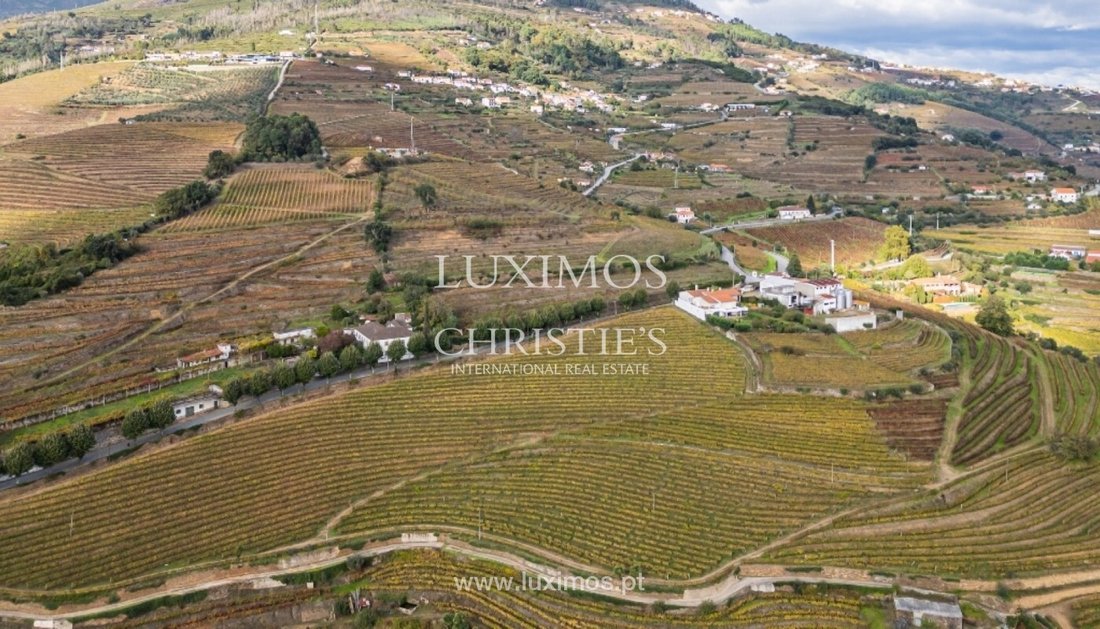 Farm Ranch in Mesao Frio (Santo Andre), Vila Real District, Portugal 5 - 15971144