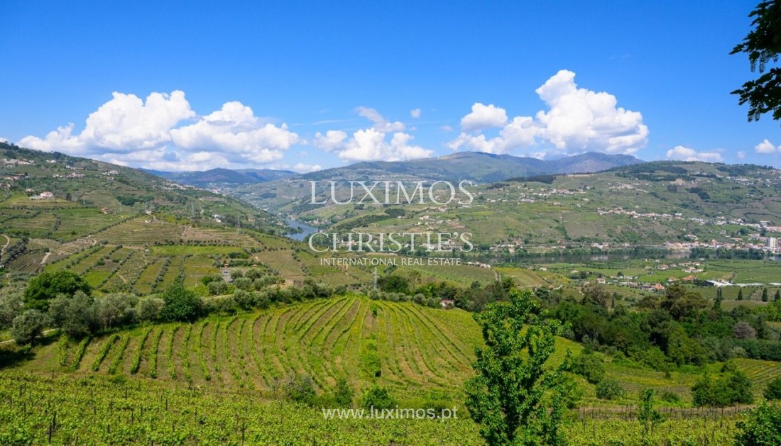 Farm Ranch in Cambres, Viseu District, Portugal 2 - 15971305