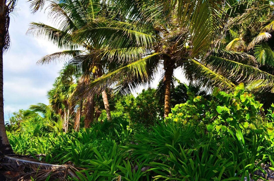 Land in San Pedro, Belize District, Belize 4 - 15971399