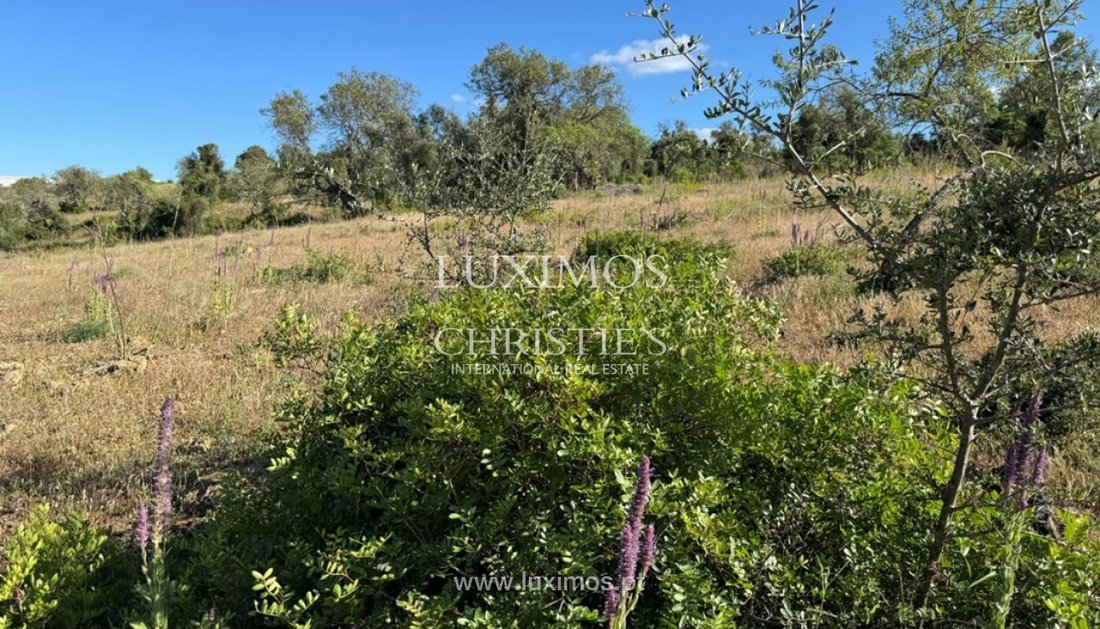Land in Algoz e Tunes, Algarve, Portugal 3 - 15970886