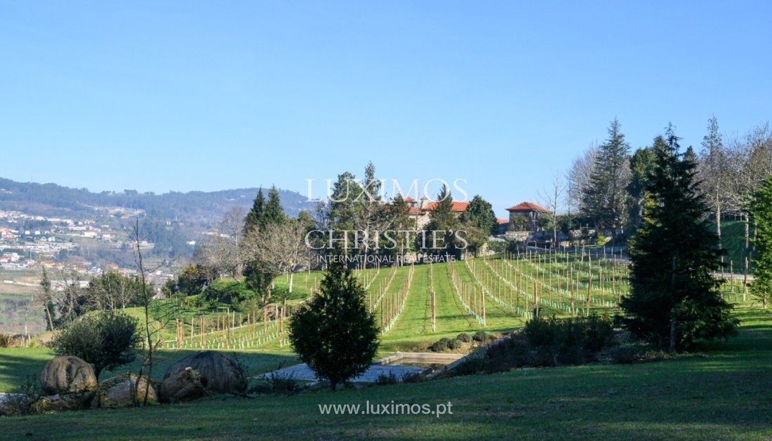 Farm Ranch in Vila Fria e Vizela (Sao Jorge), Porto District, Portugal 5 - 15971233
