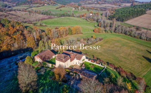 Castle in Beaulieu, Perigueux, France 1