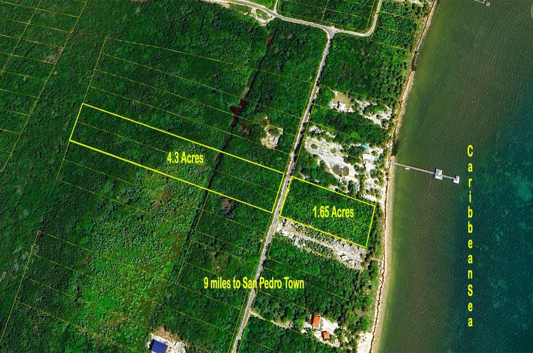 Land in San Pedro, Belize District, Belize 3 - 15971399
