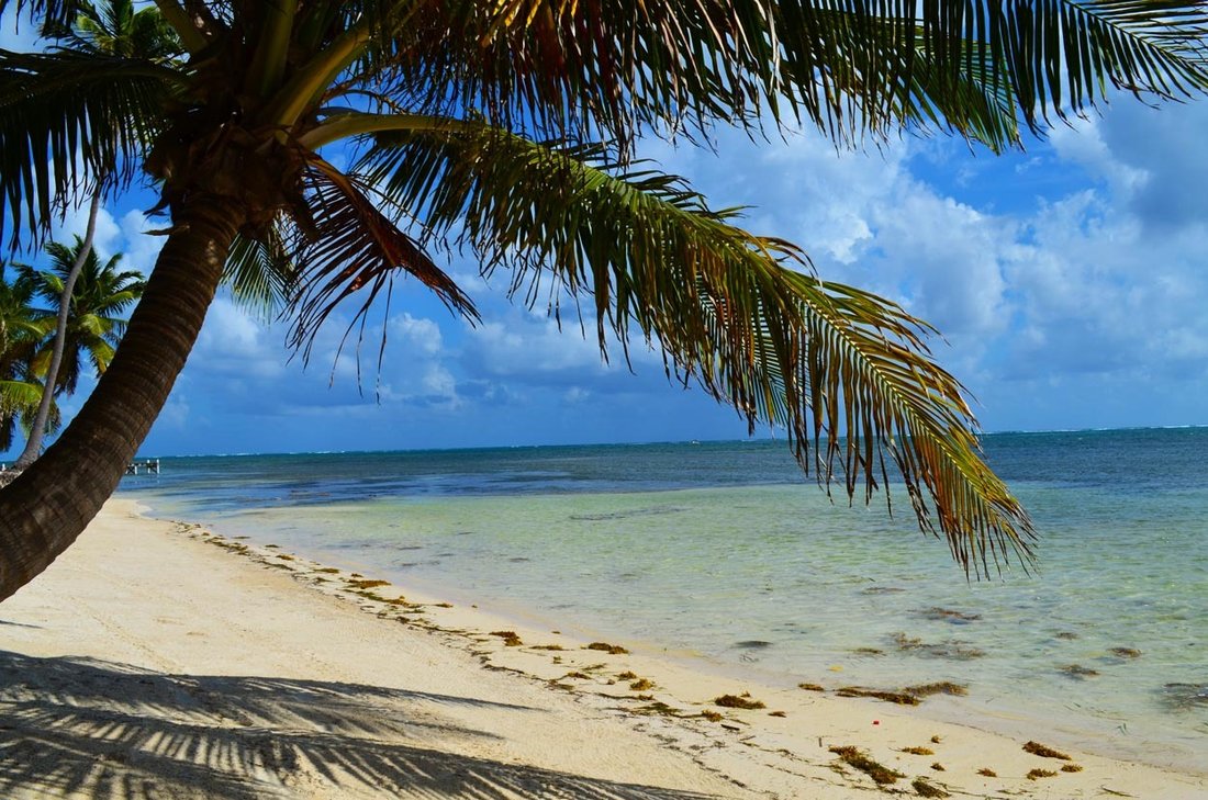 Land in San Pedro, Belize District, Belize 1 - 15971399