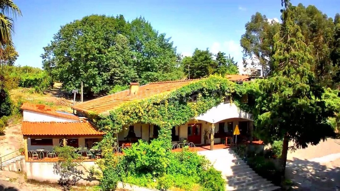 Farm Ranch in Mancelos, Porto District, Portugal 4 - 15975061