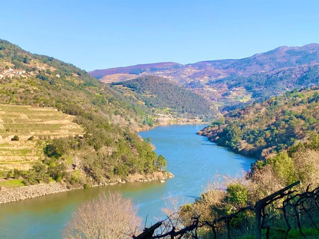 Terreno a Resende, Distretto di Viseu, Portogallo 4 - 15975047