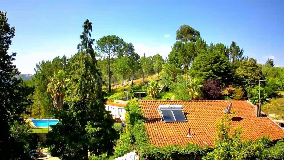 Farm Ranch in Mancelos, Porto District, Portugal 5 - 15975061