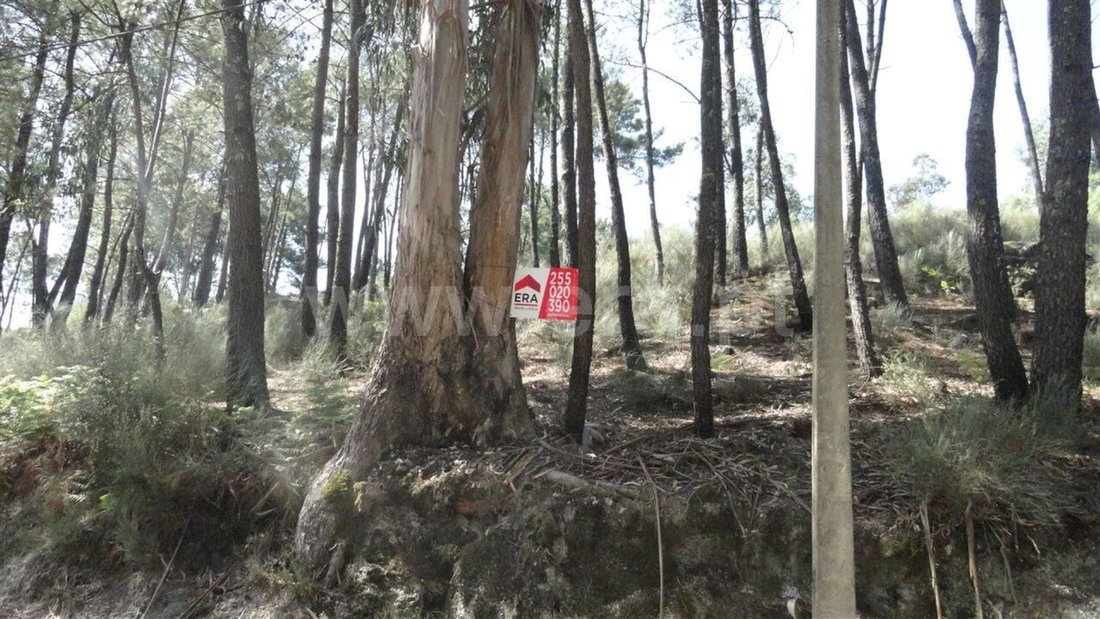 Land in Banho e Carvalhosa, Porto District, Portugal 2 - 15975075