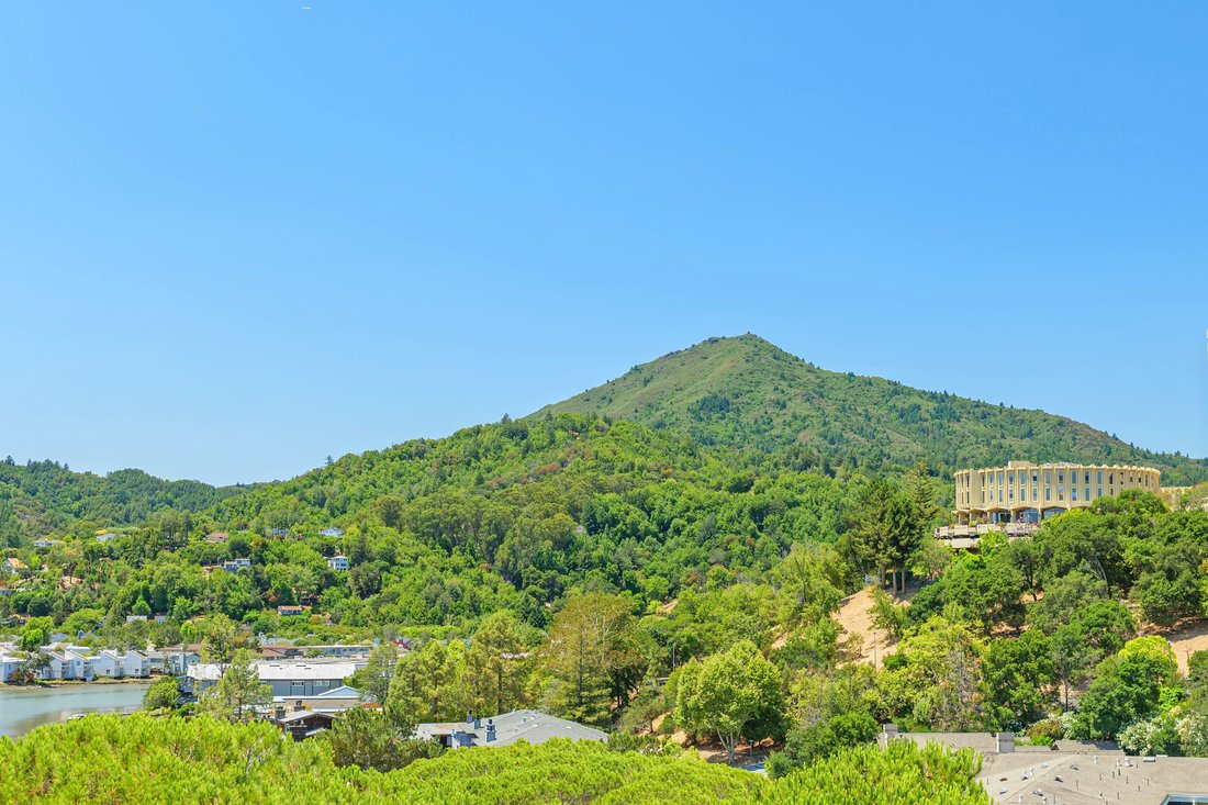 Condo in Larkspur, California, United States 1 - 15976144