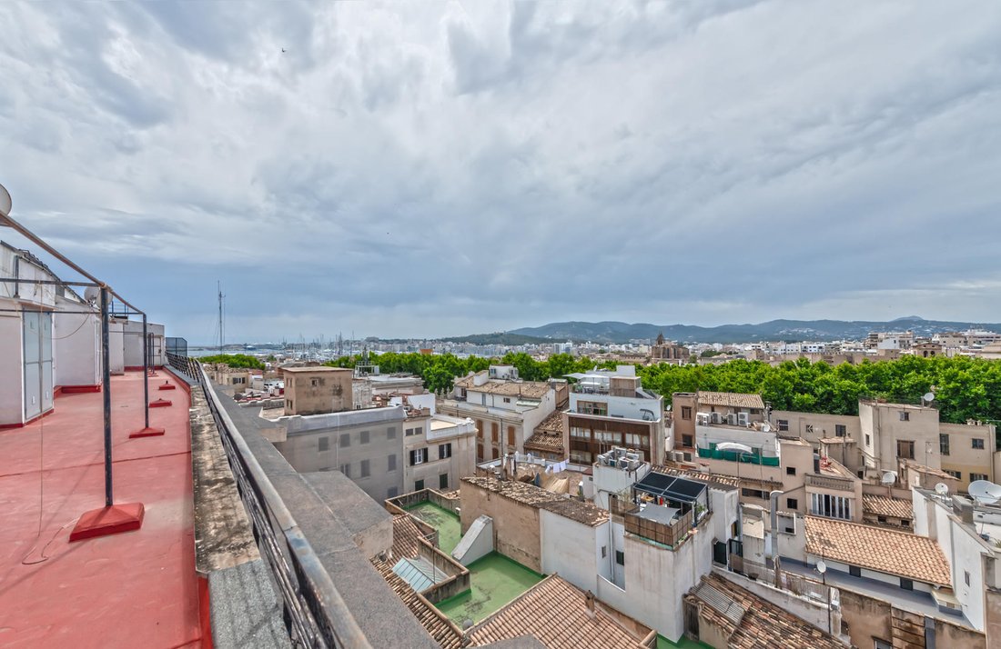 Apartment in Palma, Balearic Islands, Spain 5 - 15739732