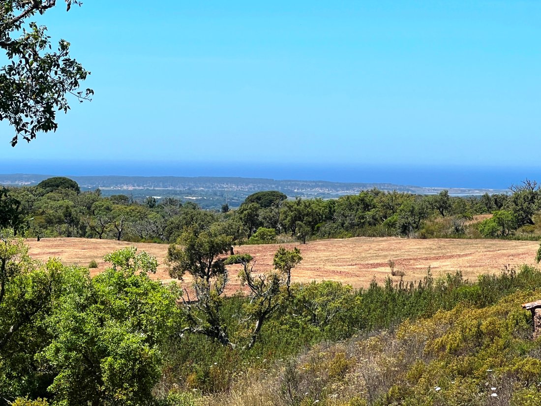 Land in Melides, Setubal, Portugal 4 - 15740326