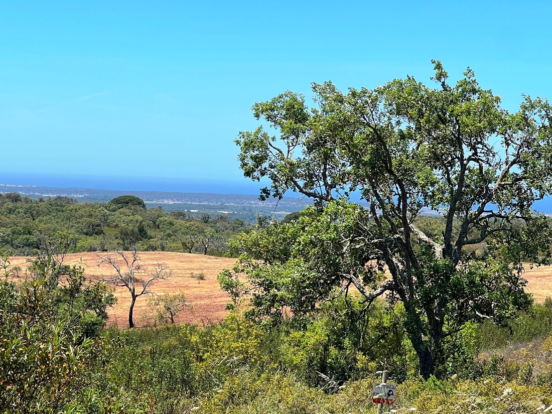 Land in Melides, Setubal, Portugal 1 - 15740326