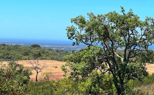 Land in Melides, Setubal, Portugal 1