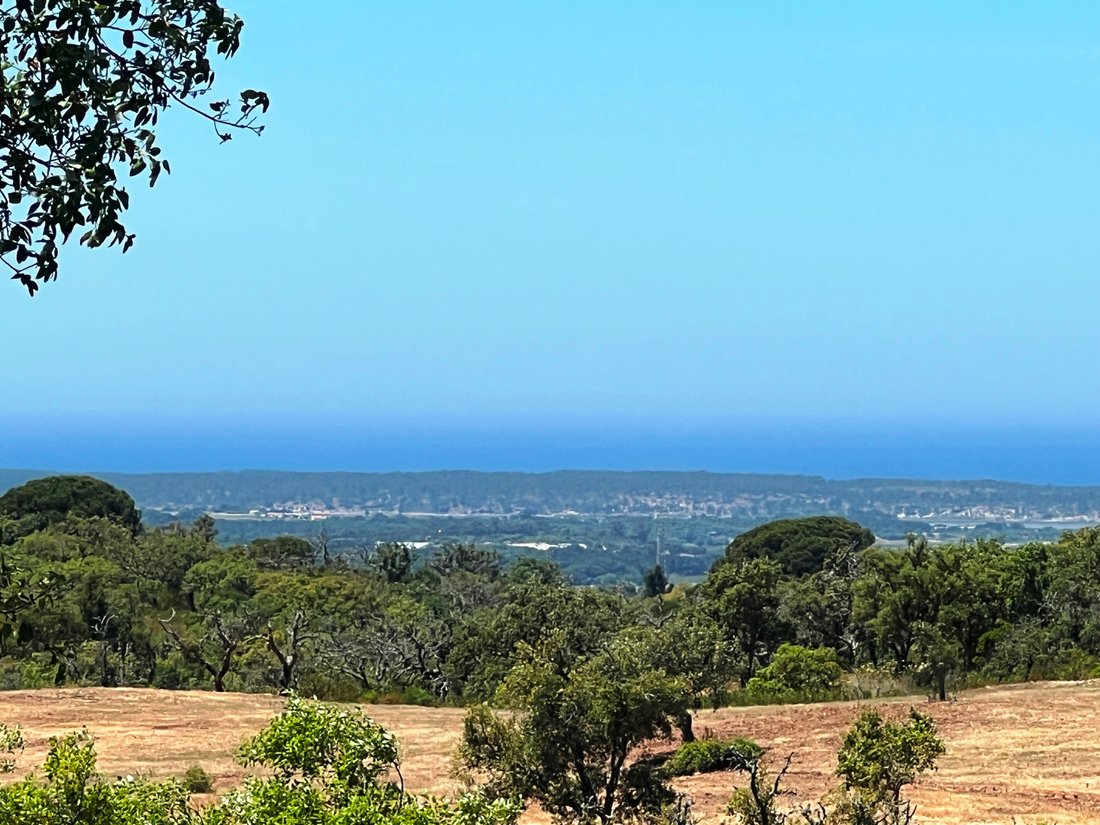 Land in Melides, Setubal, Portugal 3 - 15740326