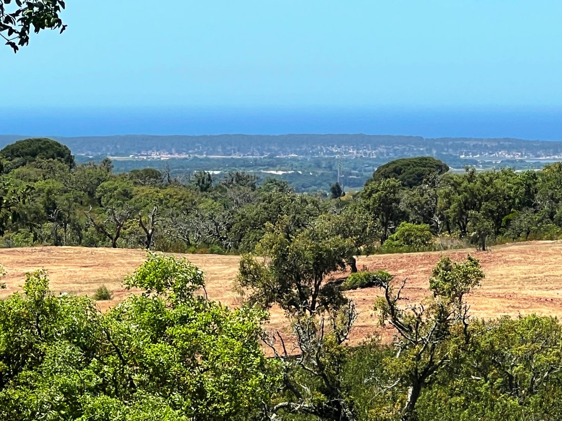 Land in Melides, Setubal, Portugal 2 - 15740326