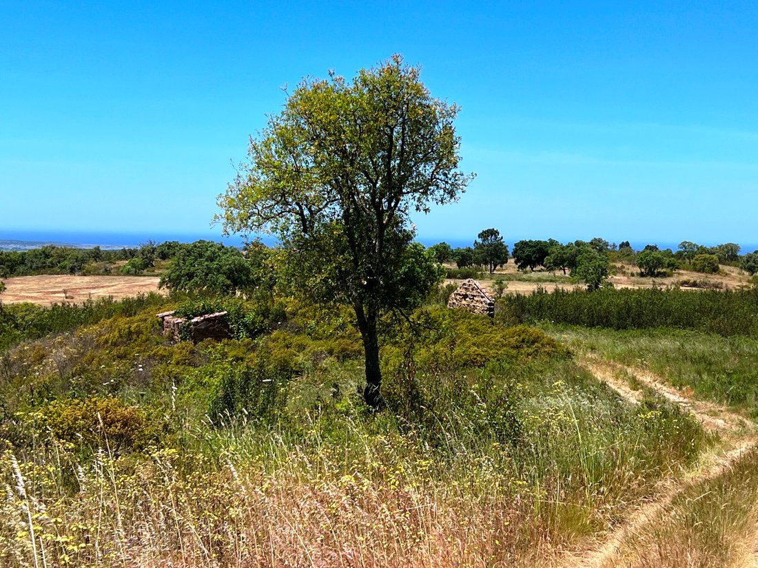 Land in Melides, Setubal, Portugal 5 - 15740326